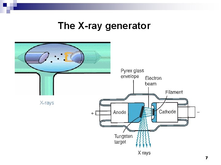 The X-ray generator X-rays 7 The X-ray generator X-rays 7