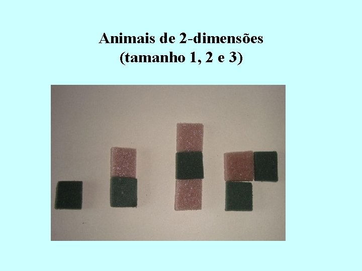 Animais de 2 -dimensões (tamanho 1, 2 e 3) 