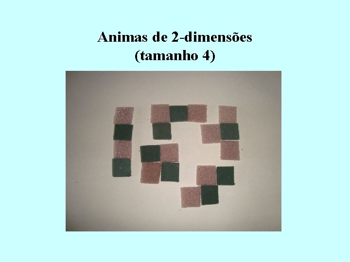 Animas de 2 -dimensões (tamanho 4) 