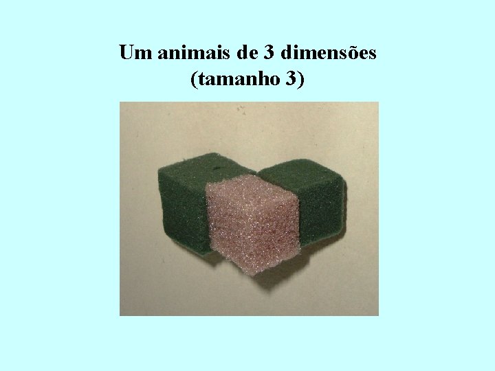 Um animais de 3 dimensões (tamanho 3) Um animais de 3 dimensões (tamanho 3)