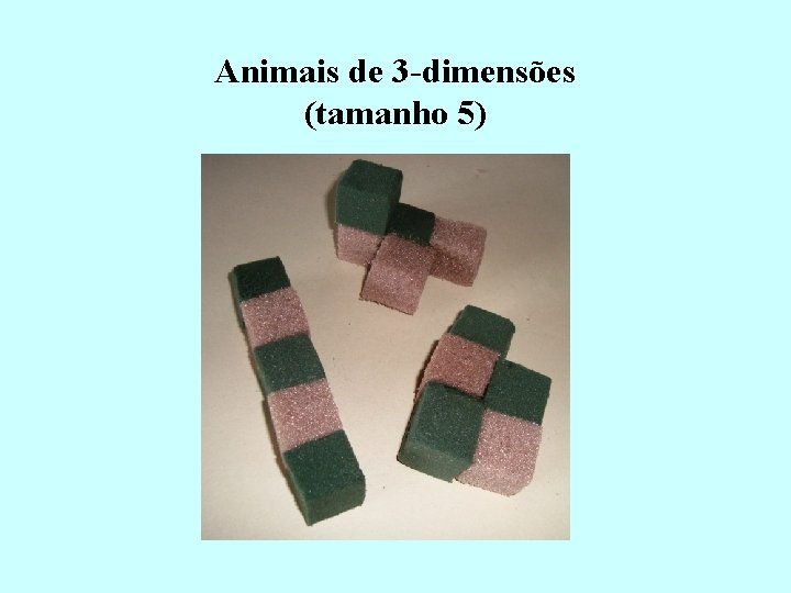Animais de 3 -dimensões (tamanho 5) 