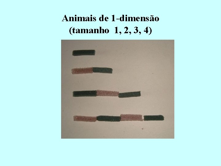 Animais de 1 -dimensão (tamanho 1, 2, 3, 4) 