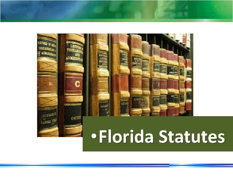  • Florida Statutes 