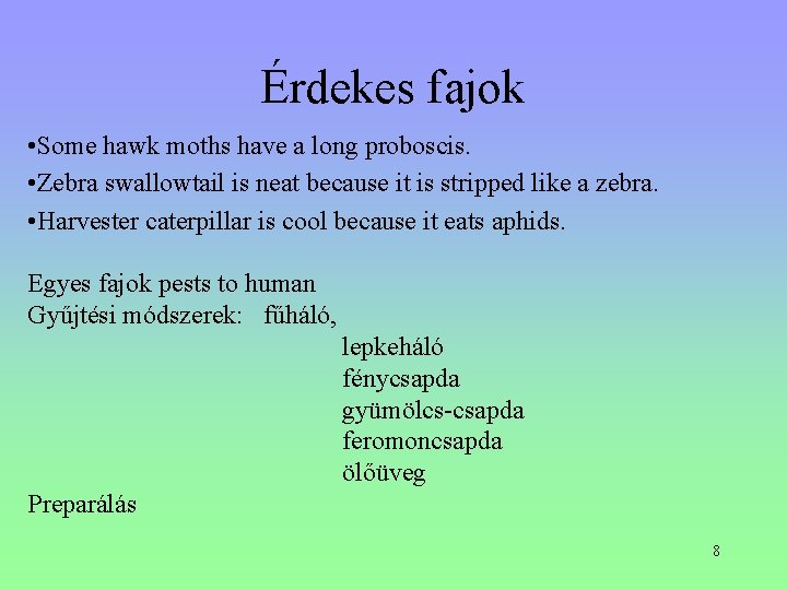 Érdekes fajok • Some hawk moths have a long proboscis. • Zebra swallowtail is Érdekes fajok • Some hawk moths have a long proboscis. • Zebra swallowtail is
