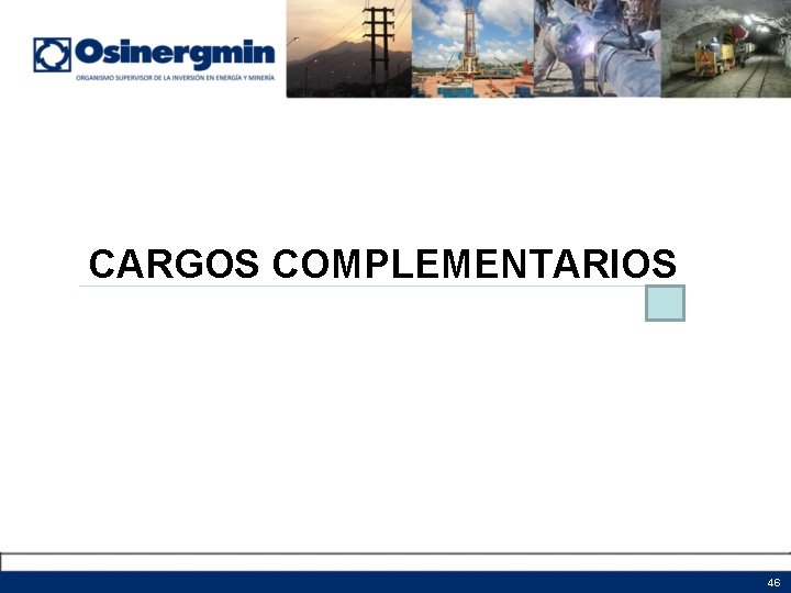 CARGOS COMPLEMENTARIOS 46 CARGOS COMPLEMENTARIOS 46