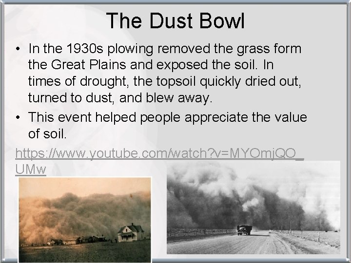 The Dust Bowl • In the 1930 s plowing removed the grass form the
