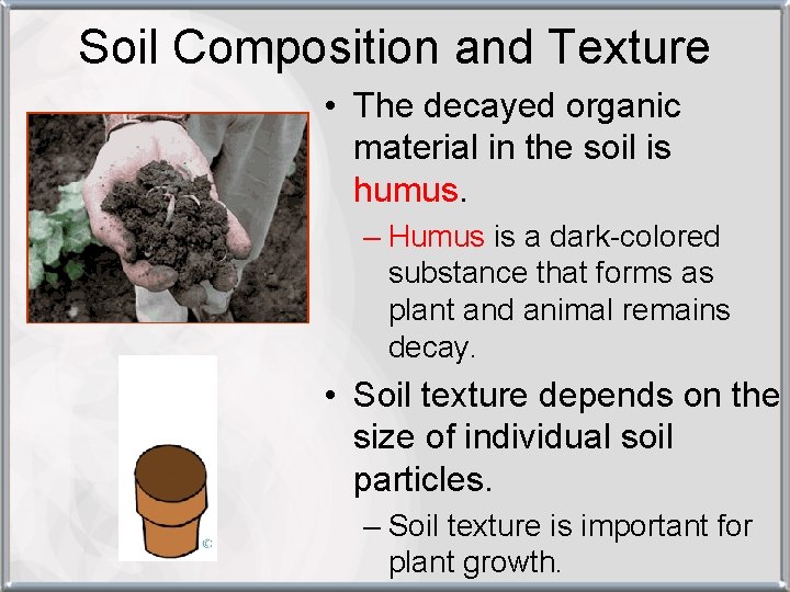 Soil Composition and Texture • The decayed organic material in the soil is humus.