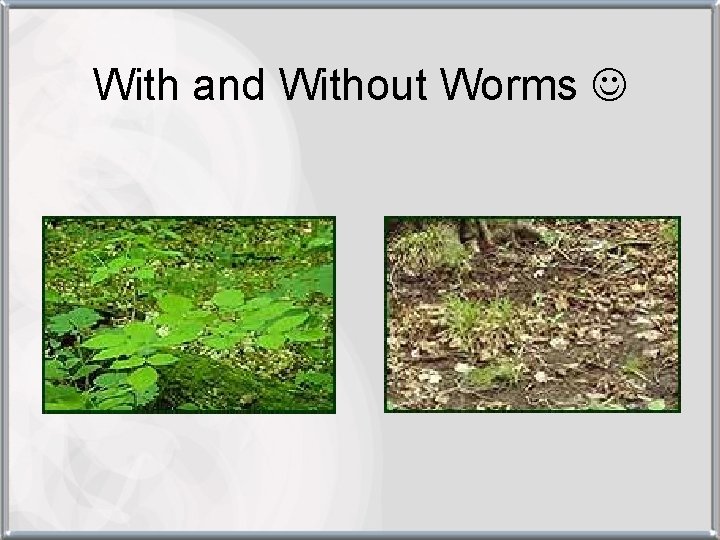 With and Without Worms 