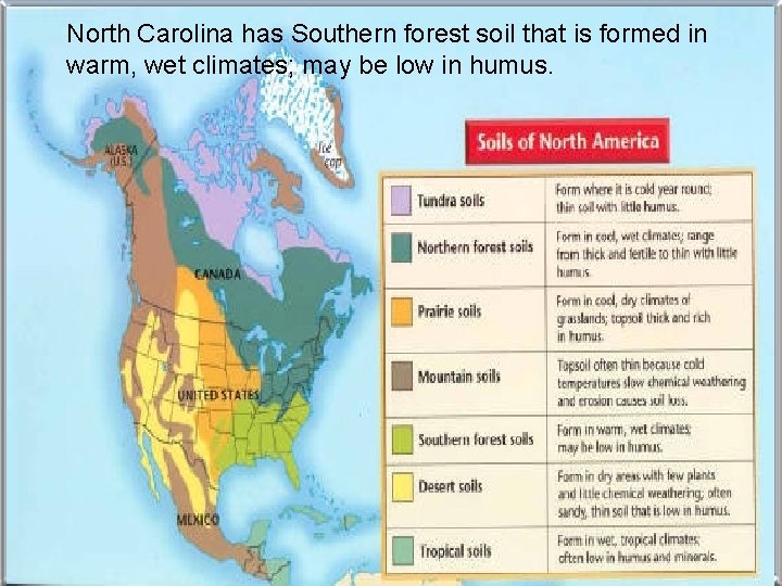 North Carolina has Southern forest soil that is formed in warm, wet climates; may