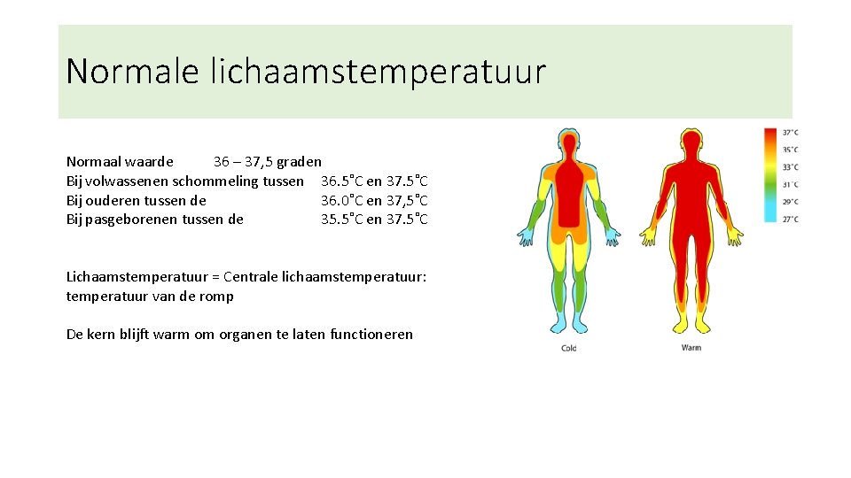 Normale lichaamstemperatuur Normaal waarde 36 – 37, 5 graden Bij volwassenen schommeling tussen 36.
