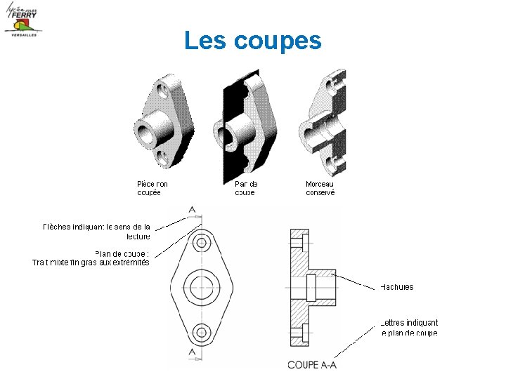 Les coupes 