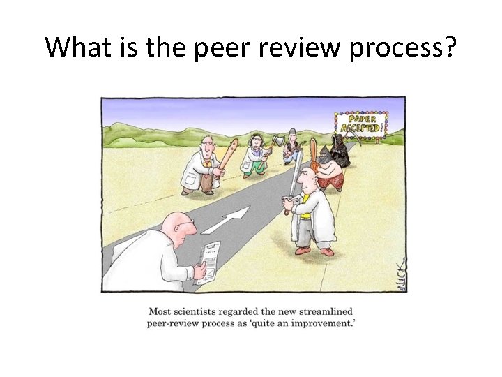 What is the peer review process? 
