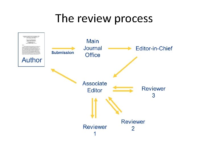The review process 