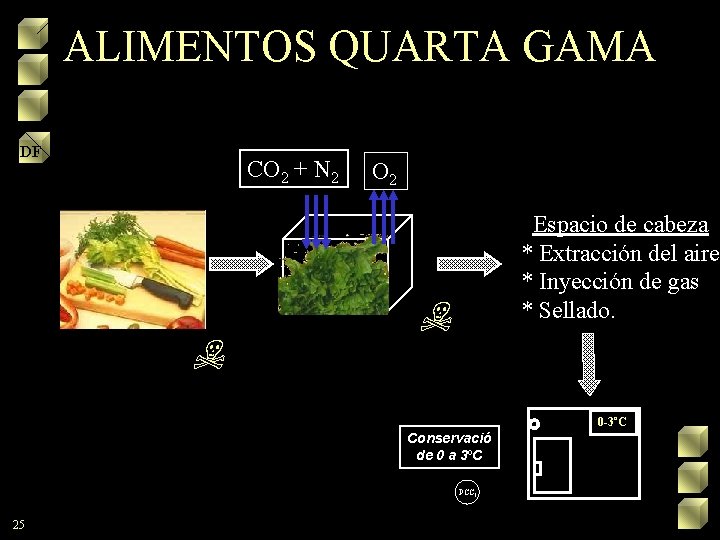 ALIMENTOS QUARTA GAMA DF CO 2 + N 2 O 2 Espacio de cabeza