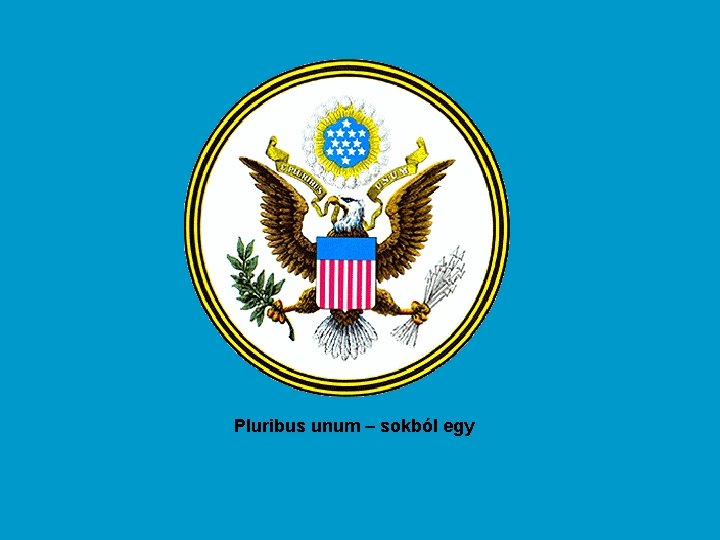 Pluribus unum – sokból egy 