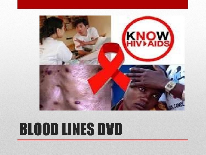 BLOOD LINES DVD 