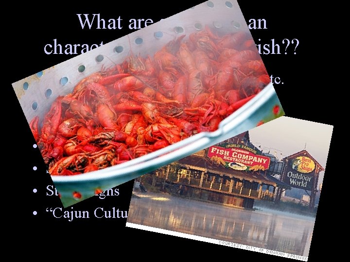 What are some human characteristics of our Parish? ? • • Cities – Denham