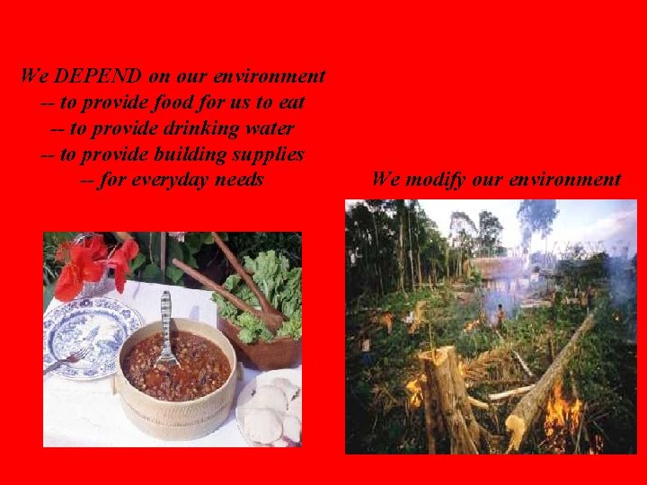 We DEPEND on our environment -- to provide food for us to eat --