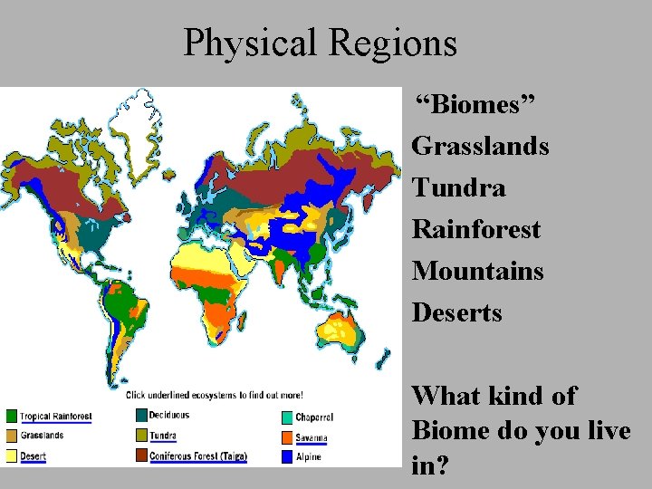 Physical Regions “Biomes” • Grasslands • Tundra • Rainforest • Mountains • Deserts •