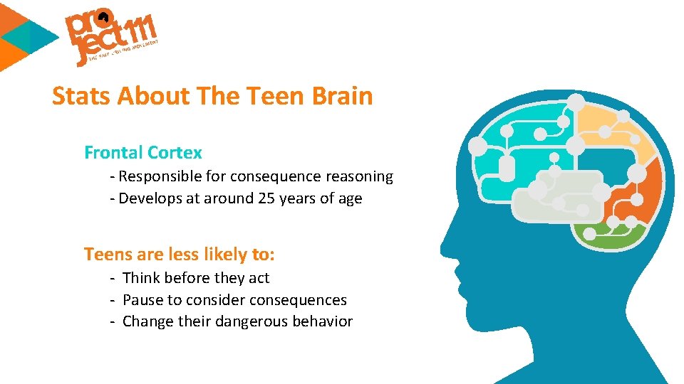 Stats About The Teen Brain Frontal Cortex - Responsible for consequence reasoning - Develops