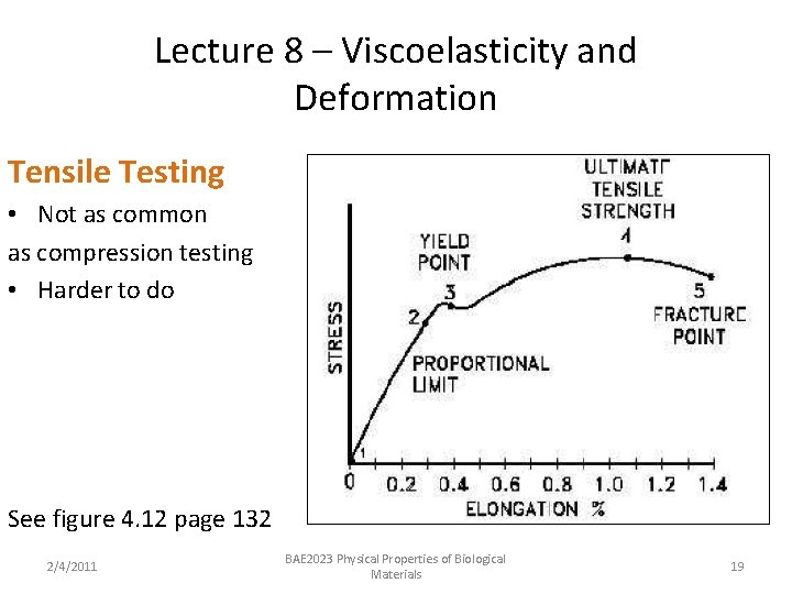 Lecture 8 – Viscoelasticity and Deformation Tensile Testing • Not as common as compression