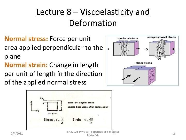 Lecture 8 – Viscoelasticity and Deformation Normal stress: Force per unit area applied perpendicular