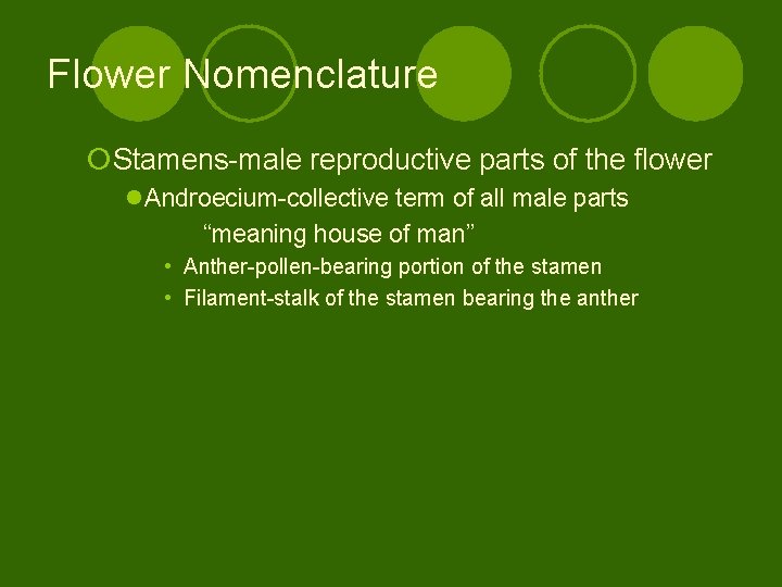 Flower Nomenclature ¡Stamens-male reproductive parts of the flower l. Androecium-collective term of all male
