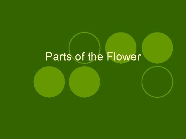 Parts of the Flower 