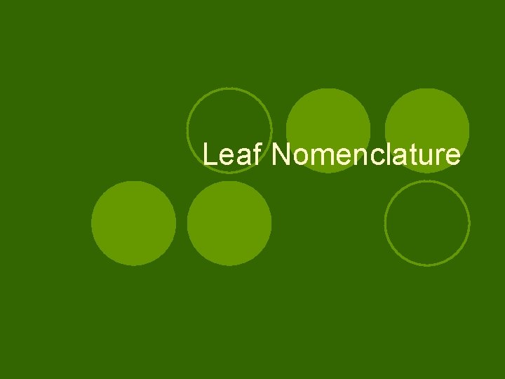 Leaf Nomenclature 