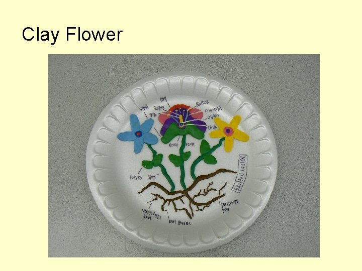 Clay Flower 