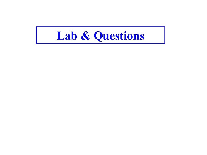 Lab & Questions 