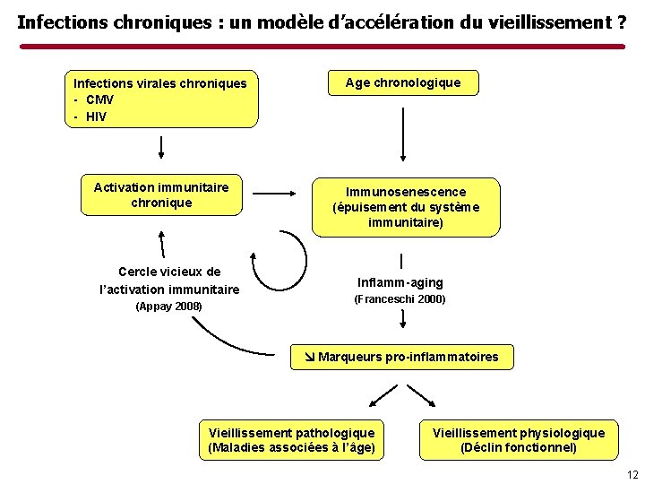 Infections chroniques : un modèle d’accélération du vieillissement ? Infections virales chroniques - CMV