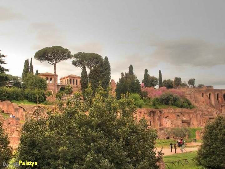 Da - Ma. Palatyn Da - Ma. Palatyn