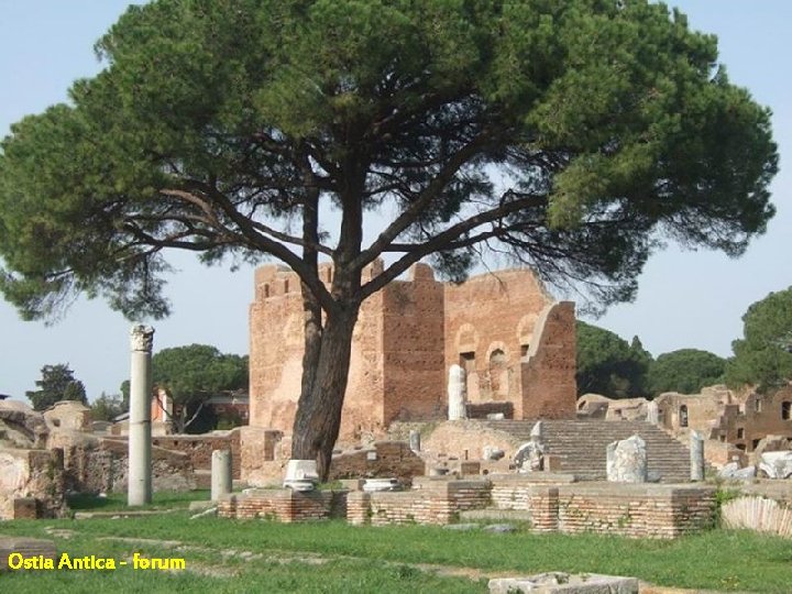Ostia Antica - forum Ostia Antica - forum