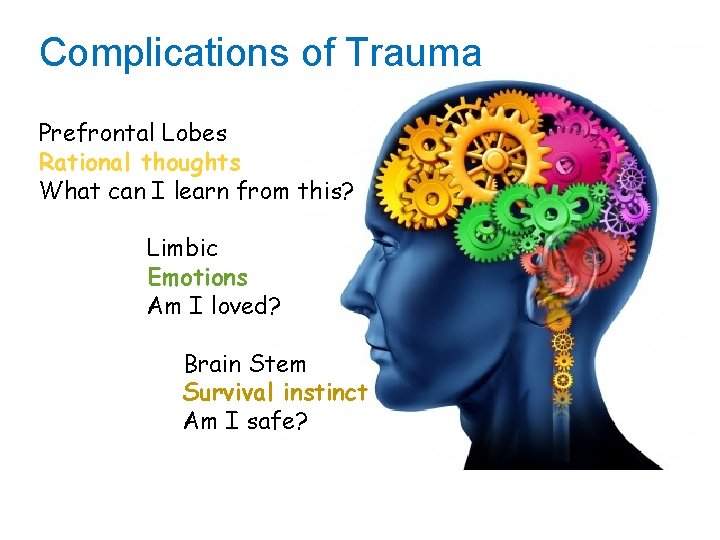 Complications of Trauma Prefrontal Lobes Rational thoughts What can I learn from this? Limbic Complications of Trauma Prefrontal Lobes Rational thoughts What can I learn from this? Limbic