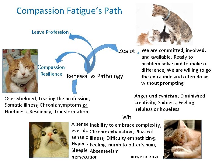 Compassion Fatigue’s Path Leave Profession Zealot We are committed, involved, Compassion Resilience Renewal vs