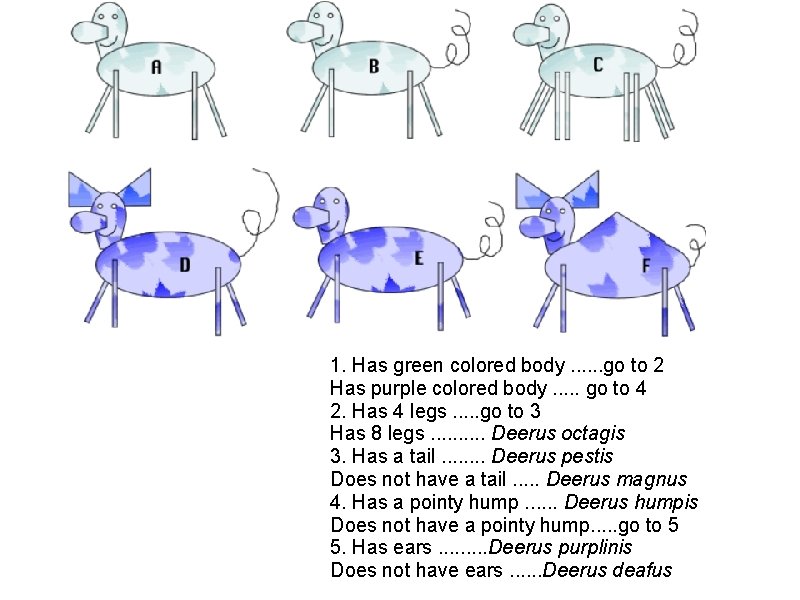 1. Has green colored body. . . go to 2 Has purple colored body.