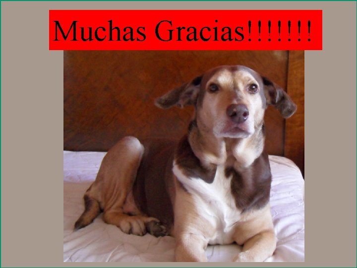 Muchas Gracias!!!!!!! 