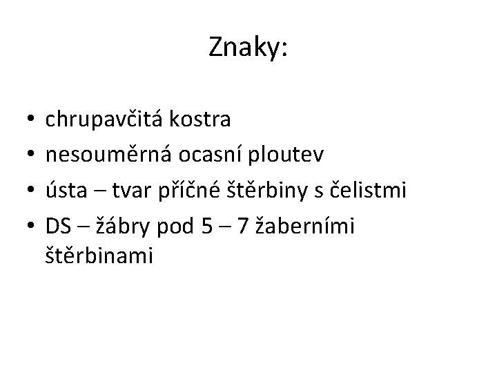 Znaky: • • chrupavčitá kostra nesouměrná ocasní ploutev ústa – tvar příčné štěrbiny s