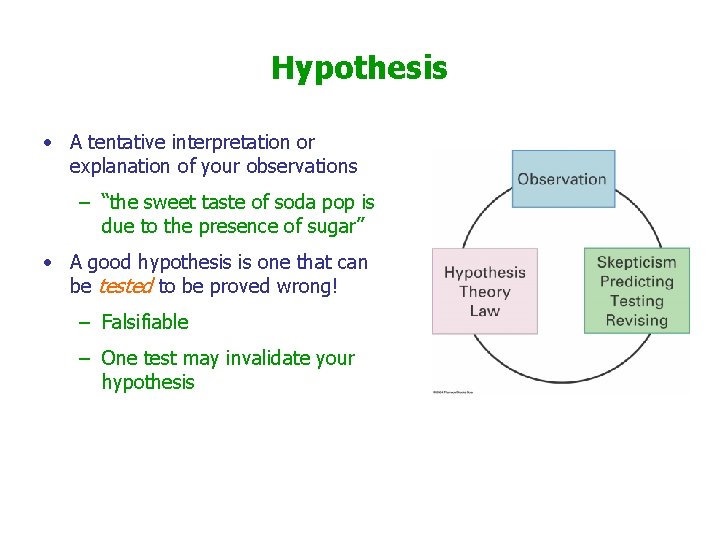 Hypothesis • A tentative interpretation or explanation of your observations – “the sweet taste