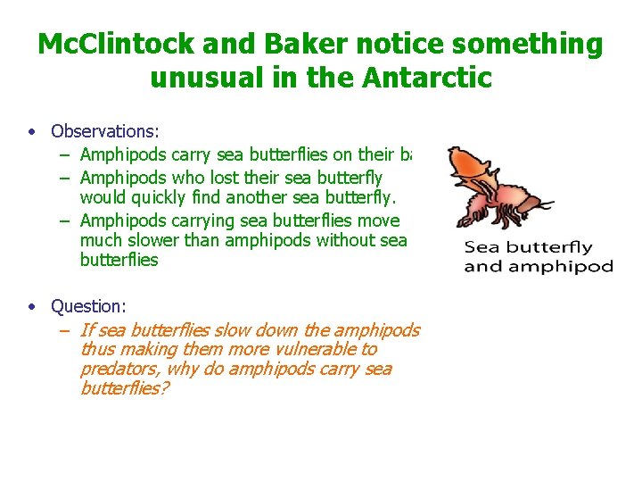 Mc. Clintock and Baker notice something unusual in the Antarctic • Observations: – Amphipods