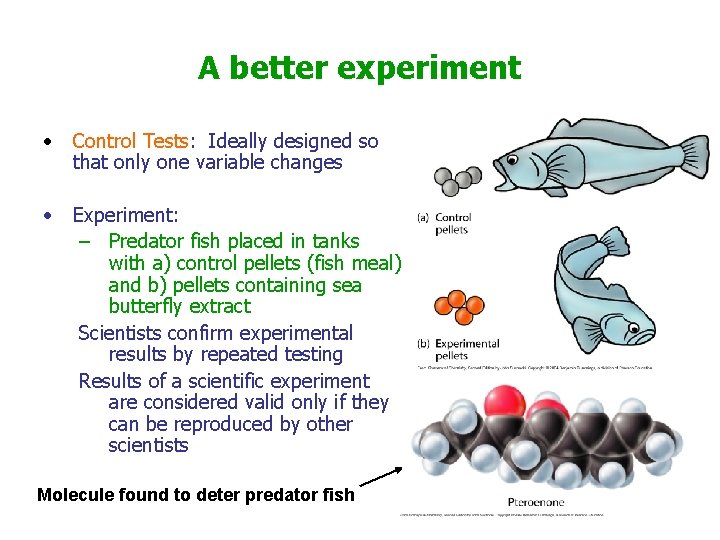 A better experiment • Control Tests: Ideally designed so that only one variable changes