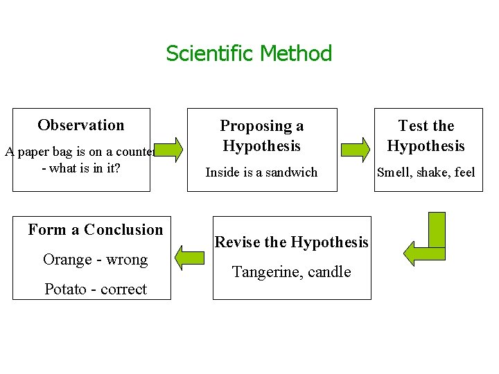 Scientific Method Observation A paper bag is on a counter - what is in