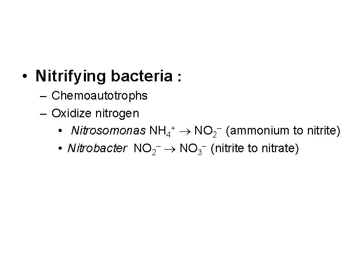  • Nitrifying bacteria : – Chemoautotrophs – Oxidize nitrogen • Nitrosomonas NH 4+