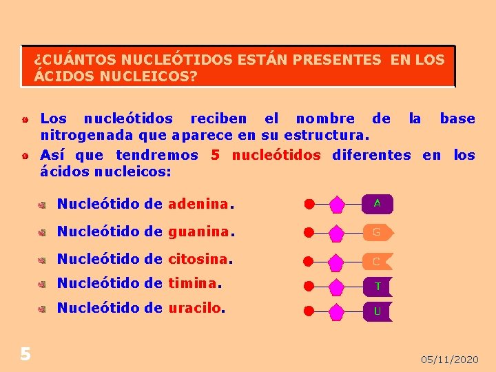 ¿CUÁNTOS NUCLEÓTIDOS ESTÁN PRESENTES EN LOS ÁCIDOS NUCLEICOS? Los nucleótidos reciben el nombre de
