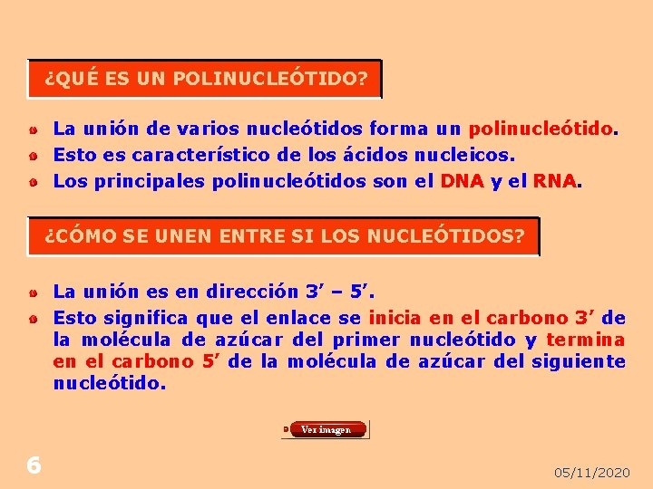 ¿QUÉ ES UN POLINUCLEÓTIDO? La unión de varios nucleótidos forma un polinucleótido. Esto es