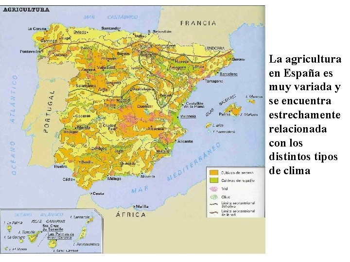 La agricultura en España es muy variada y se encuentra estrechamente relacionada con los