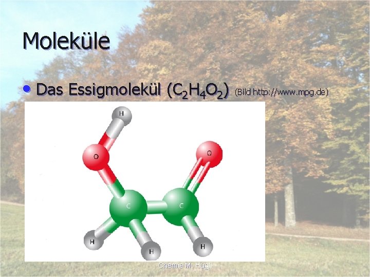 Moleküle • Das Essigmolekül (C 2 H 4 O 2) (Bild http: //www. mpg.