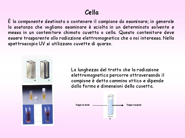 Cella È la componente destinata a contenere il campione da esaminare; in generale la