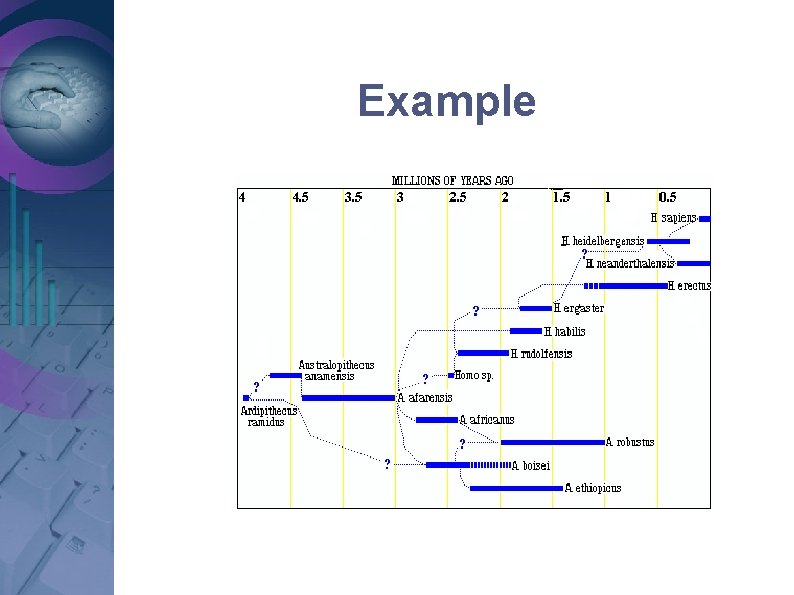 Example Example